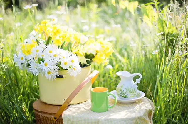 Tea and flowers