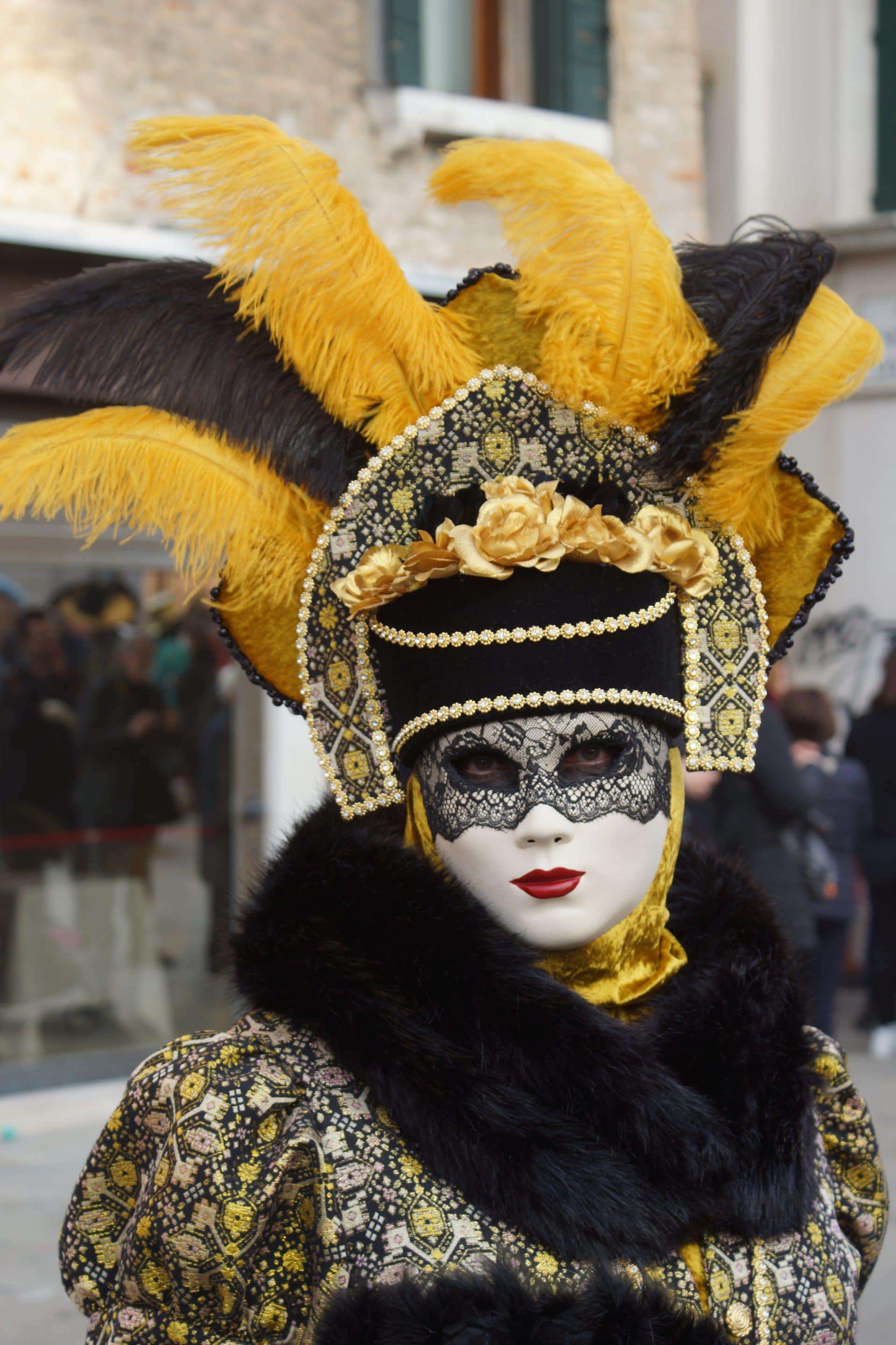 Person wearing a fancy costume and a mask with a feather headdress 